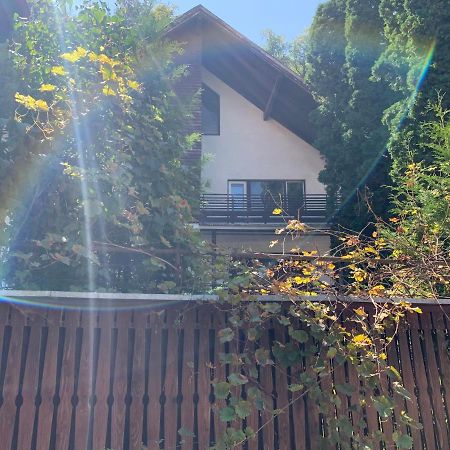 Timi Residence Brašov Exteriér fotografie