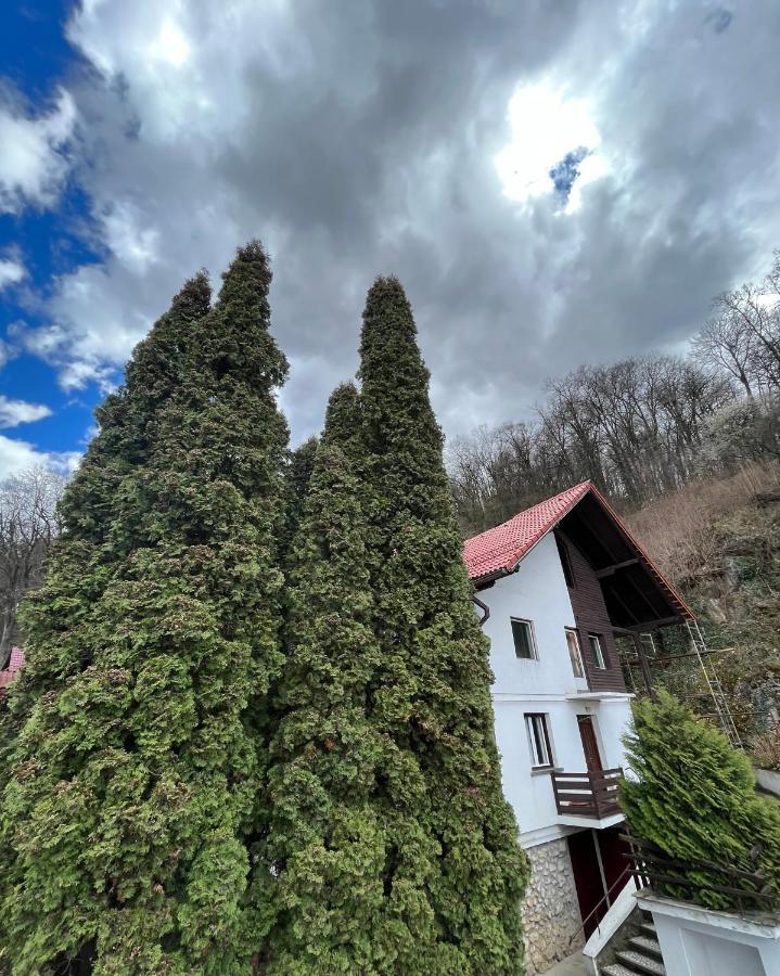 Timi Residence Brašov Exteriér fotografie
