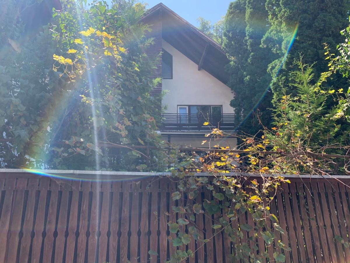 Timi Residence Brašov Exteriér fotografie