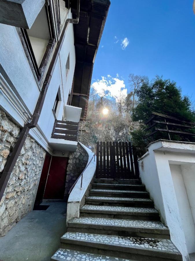 Timi Residence Brašov Exteriér fotografie