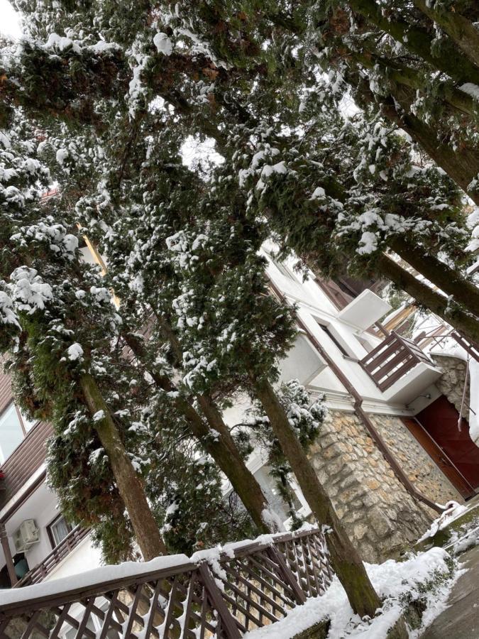 Timi Residence Brašov Exteriér fotografie