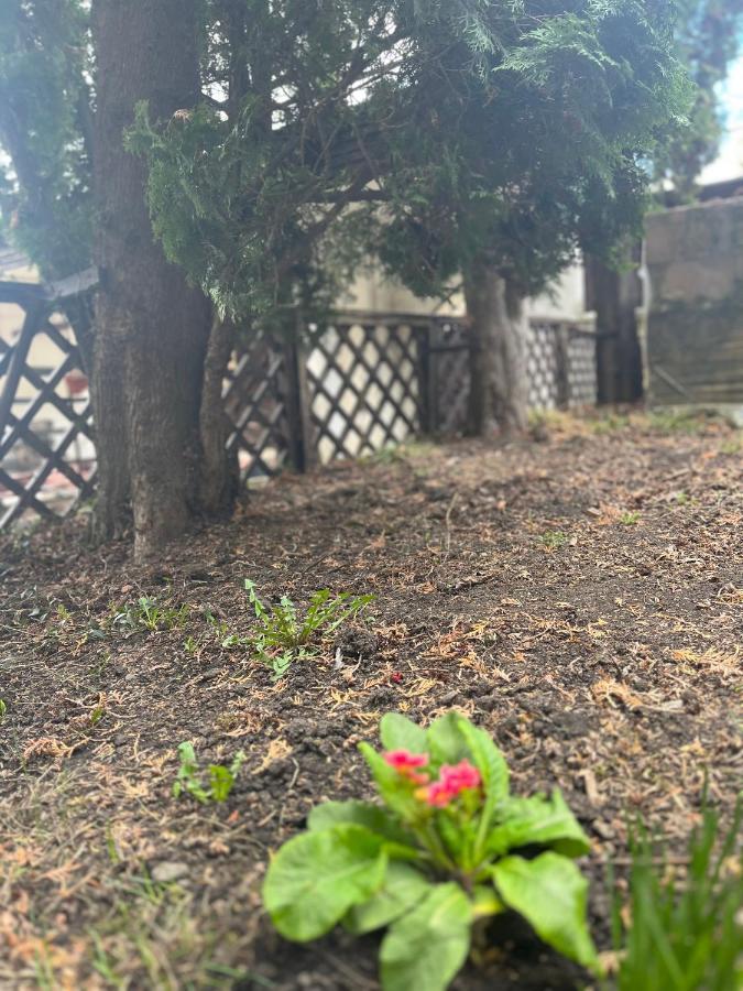 Timi Residence Brašov Exteriér fotografie